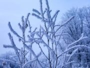 Морозы в Украине в начале февраля: каким областям готовиться к третьему уровню опасности