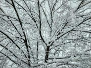 Арктический воздух не отступит: морозы до –20 окутают Украину надолго