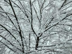 Арктический воздух не отступит: морозы до –20 окутают Украину надолго