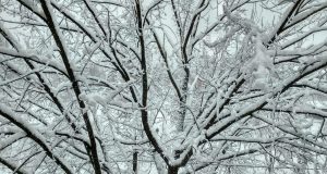 Арктический воздух не отступит: морозы до –20 окутают Украину надолго