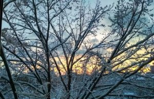 Украину ждет одна из самых морозных недель зимы: в каких областях будет холоднее всего