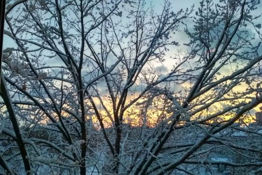 Украину ждет одна из самых морозных недель зимы: в каких областях будет холоднее всего