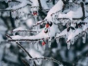 Очередная волна сильных морозов в Украине: как долго они продлятся и где будет холоднее всего