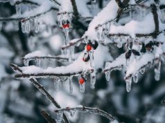 Очередная волна сильных морозов в Украине: как долго они продлятся и где будет холоднее всего
