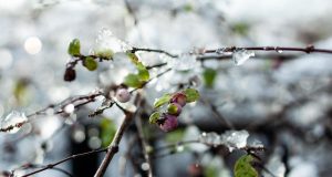 Антициклон уступает место циклонам: в каких регионах украинцев порадует плюсовая температура