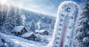 Морозы не сдаются: потепление 15–17 января отменяется