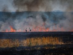 В Украине температура пробила отметку в +18 °C: антициклон «Конрад» принес тепло и новую опасность